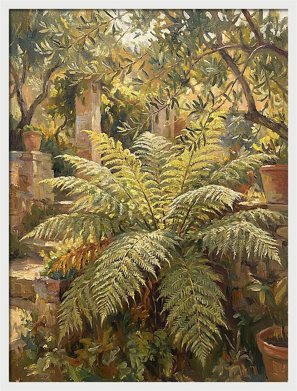 Lush Mediterranean Ferns