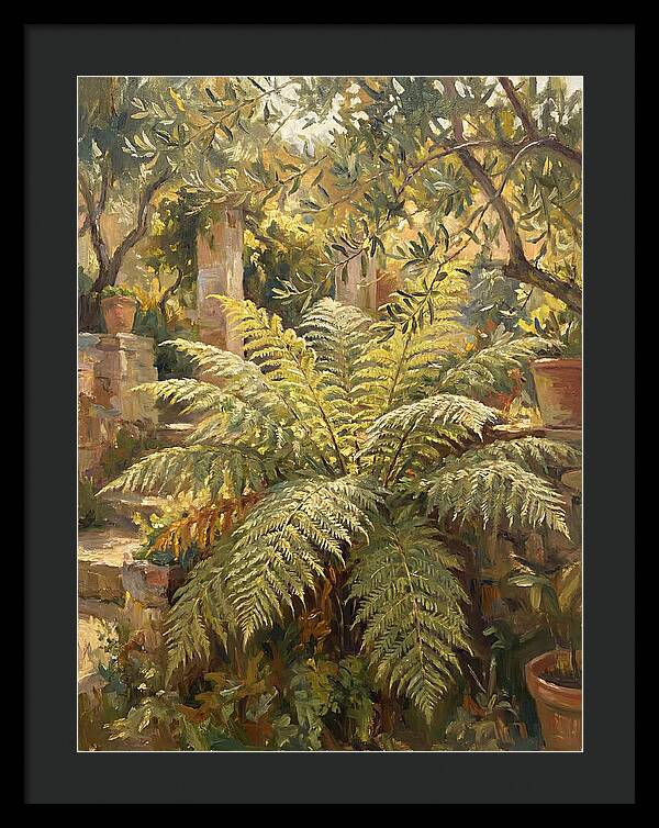 Lush Mediterranean Ferns