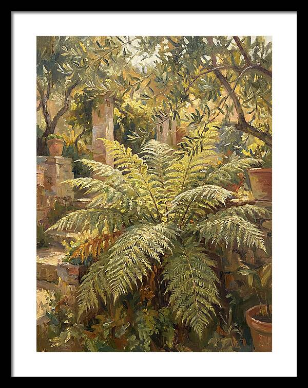 Lush Mediterranean Ferns