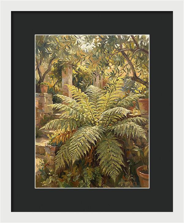 Lush Mediterranean Ferns