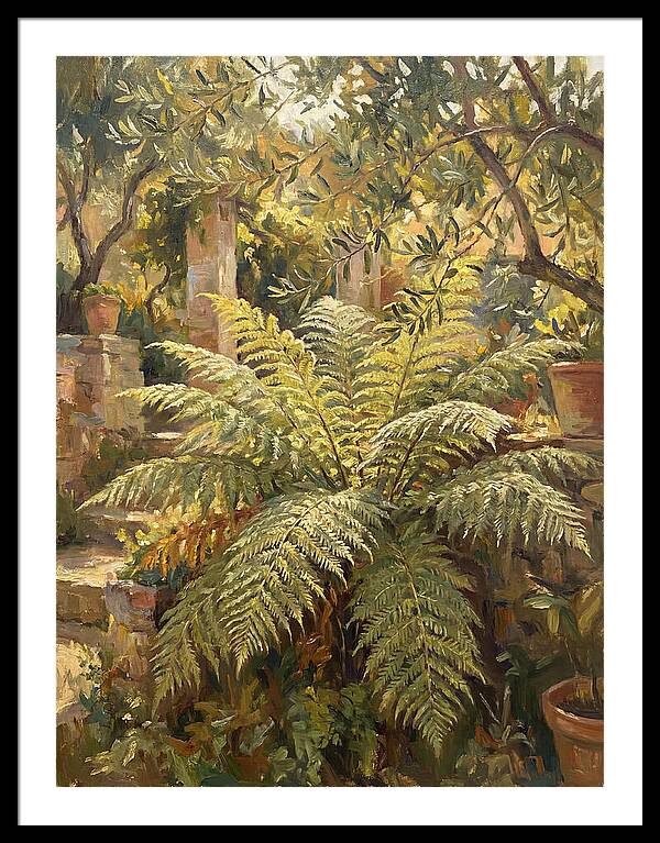 Lush Mediterranean Ferns