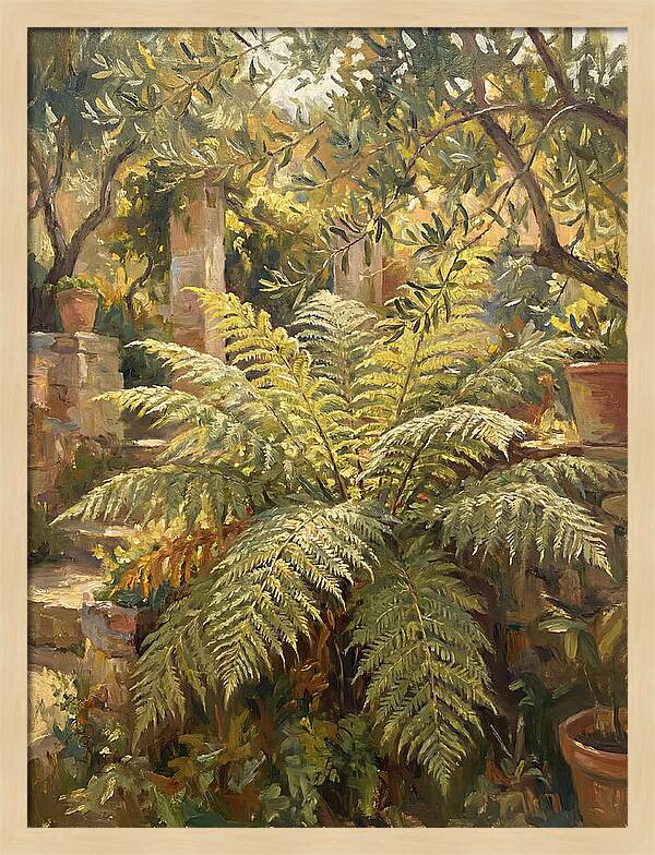 Lush Mediterranean Ferns