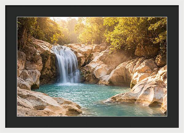 Lush Oasis Waterfall Escape