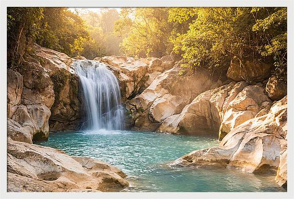 Lush Oasis Waterfall Escape