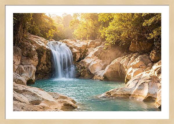 Lush Oasis Waterfall Escape