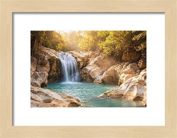 Lush Oasis Waterfall Escape
