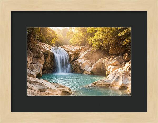 Lush Oasis Waterfall Escape