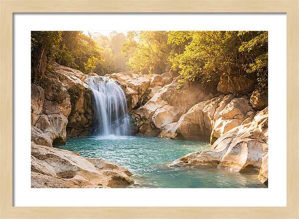 Lush Oasis Waterfall Escape