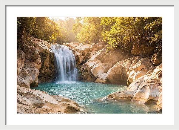 Lush Oasis Waterfall Escape