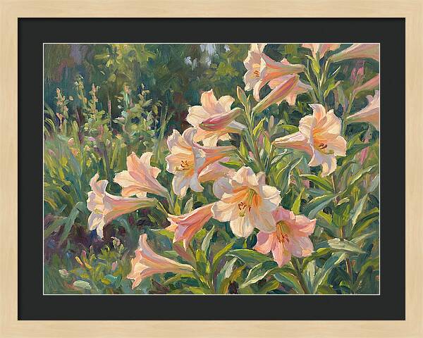 Lush Pink Lilies In Bloom