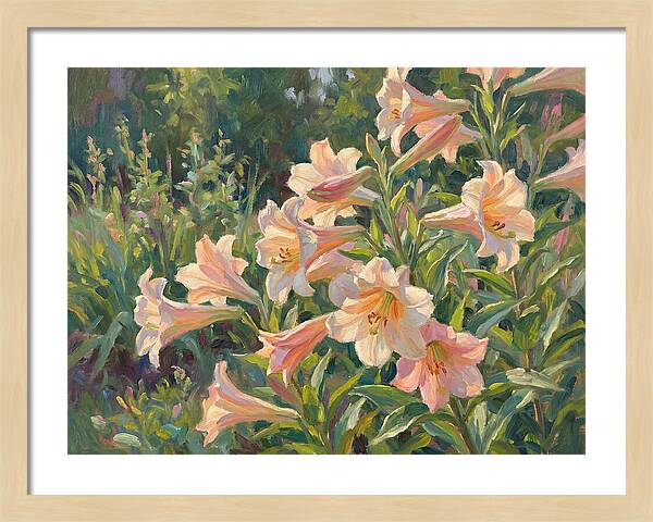 Lush Pink Lilies In Bloom