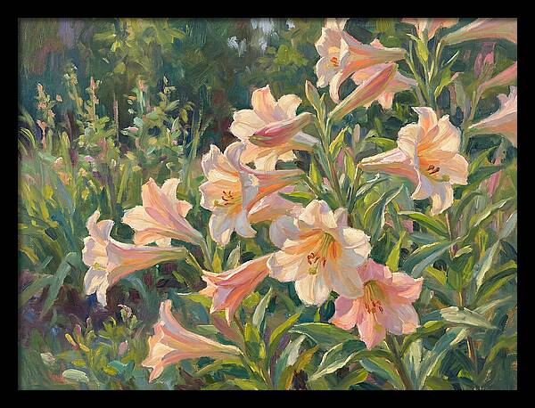 Lush Pink Lilies In Bloom