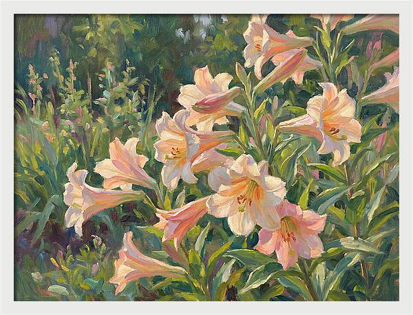 Lush Pink Lilies In Bloom