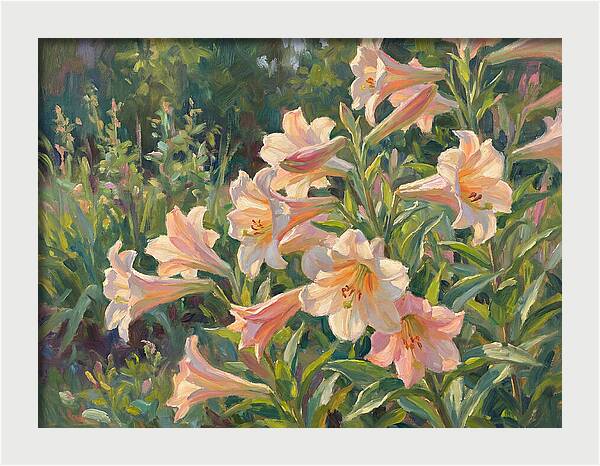 Lush Pink Lilies In Bloom