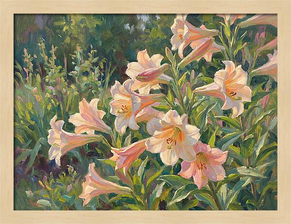 Lush Pink Lilies In Bloom