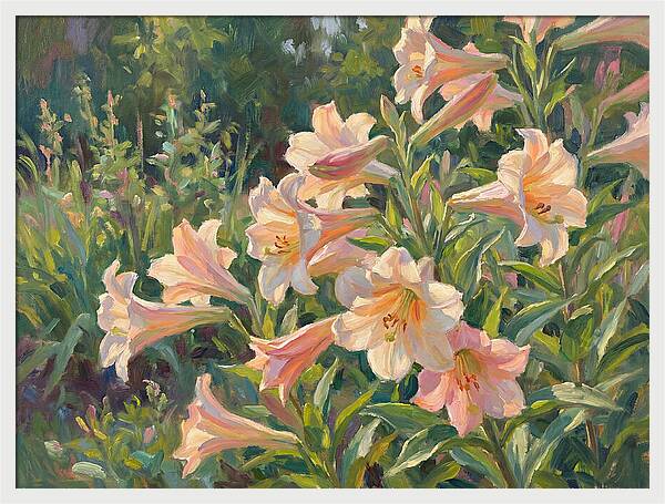 Lush Pink Lilies In Bloom