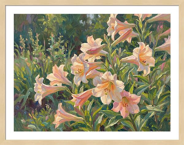 Lush Pink Lilies In Bloom