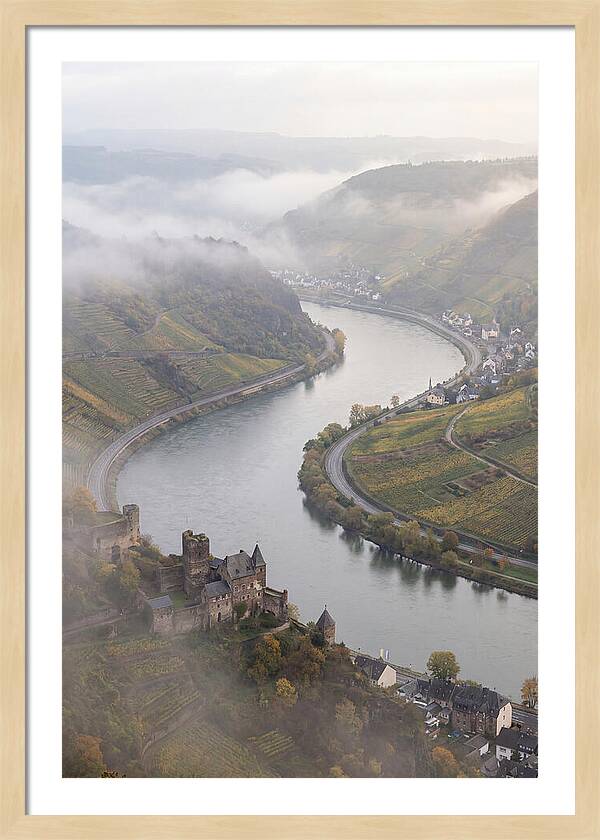 Lush Rhine Valley Serenity