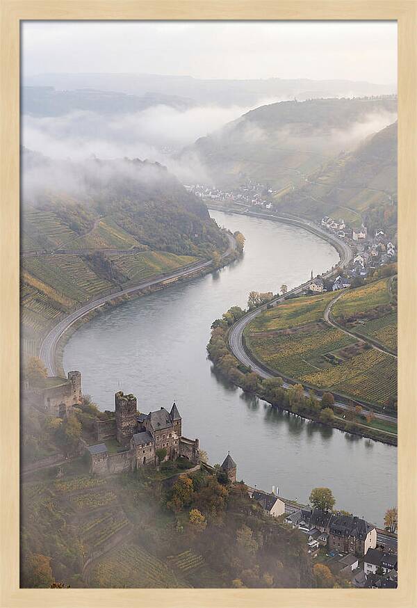 Lush Rhine Valley Serenity