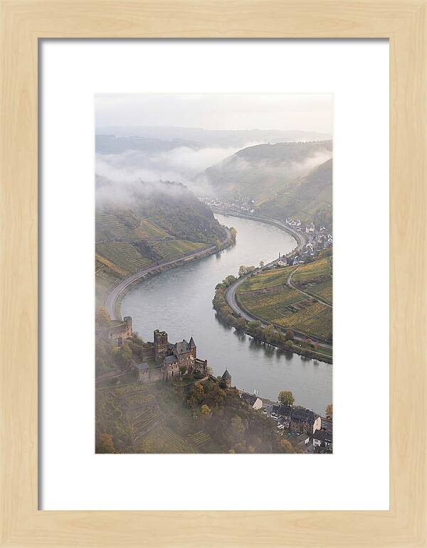 Lush Rhine Valley Serenity