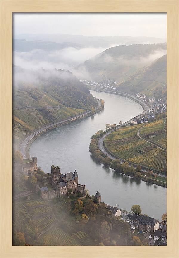 Lush Rhine Valley Serenity