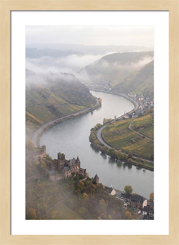 Lush Rhine Valley Serenity