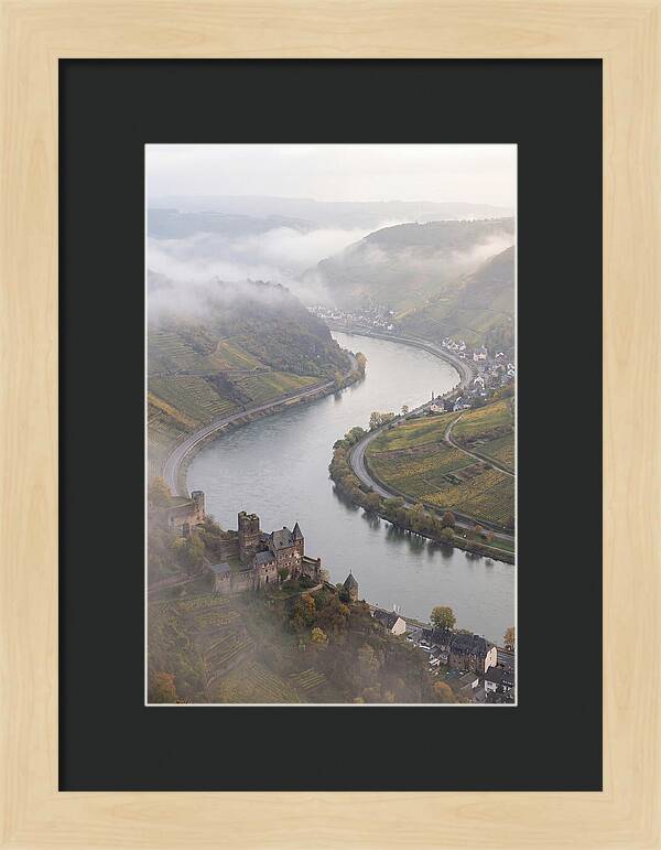 Lush Rhine Valley Serenity