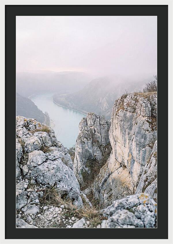 Lush Viewpoint Above The Rhine