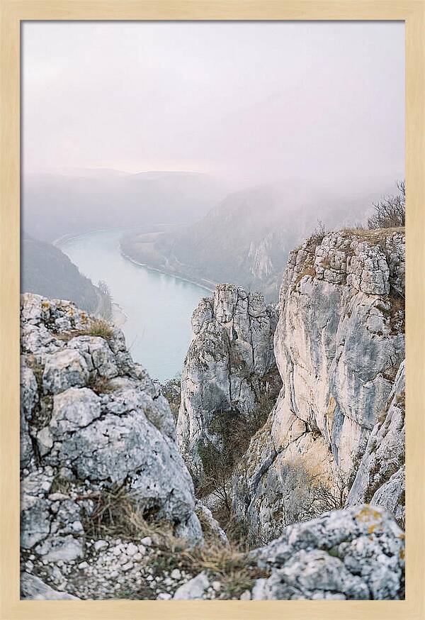 Lush Viewpoint Above The Rhine