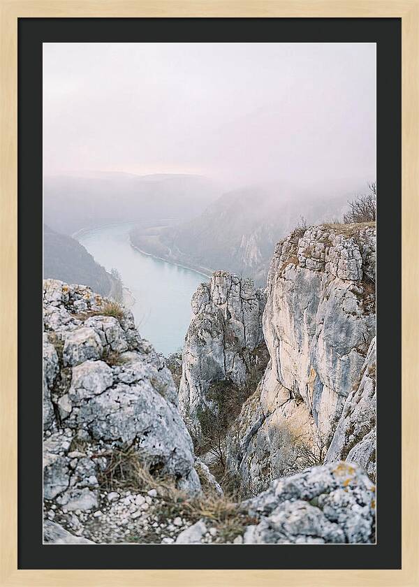Lush Viewpoint Above The Rhine