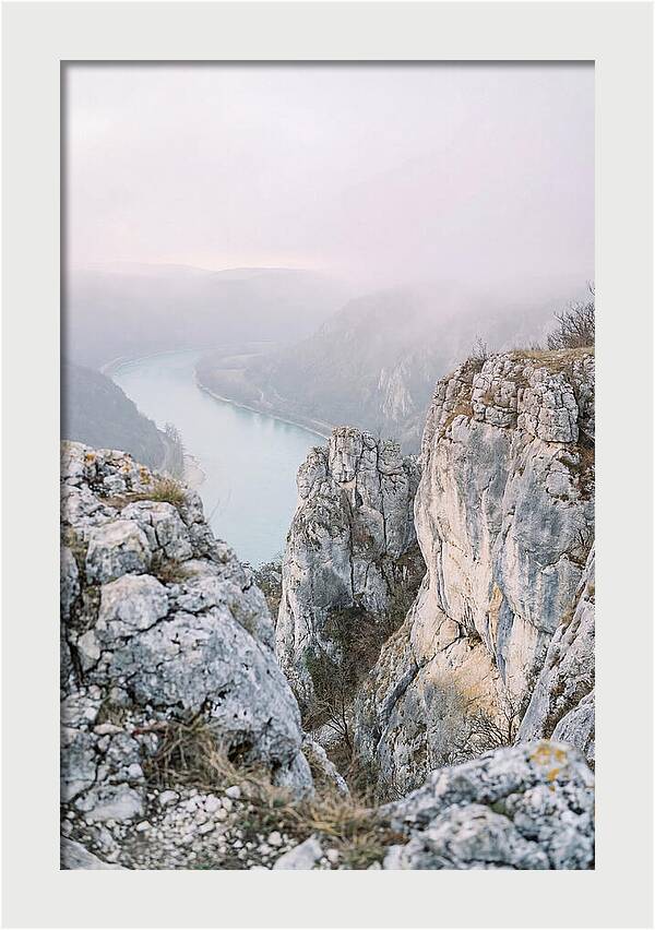 Lush Viewpoint Above The Rhine