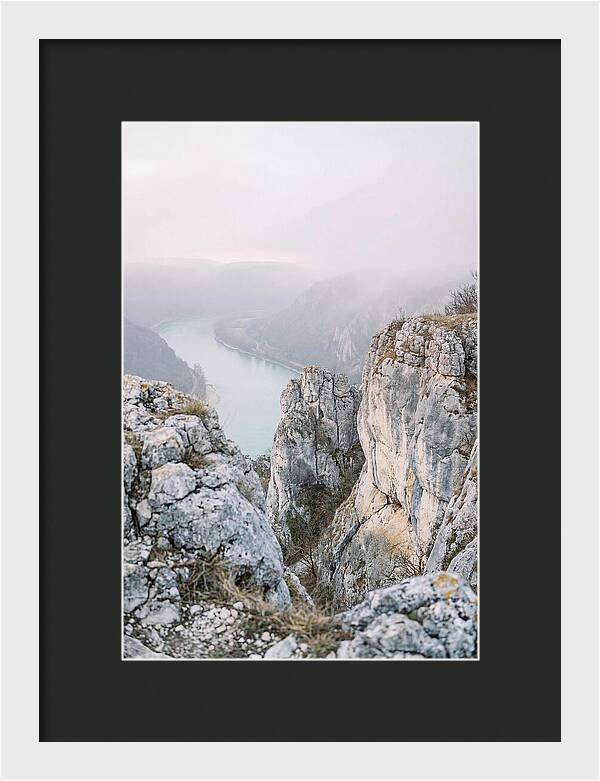 Lush Viewpoint Above The Rhine