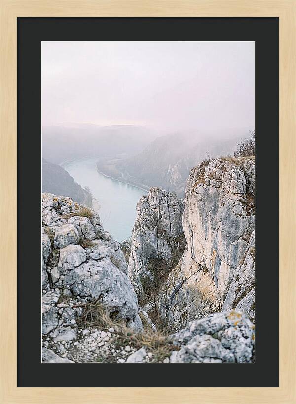 Lush Viewpoint Above The Rhine