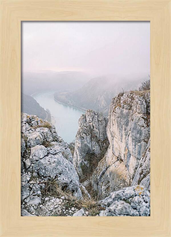 Lush Viewpoint Above The Rhine