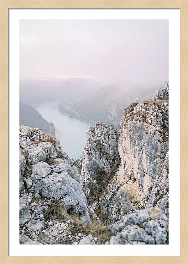 Lush Viewpoint Above The Rhine