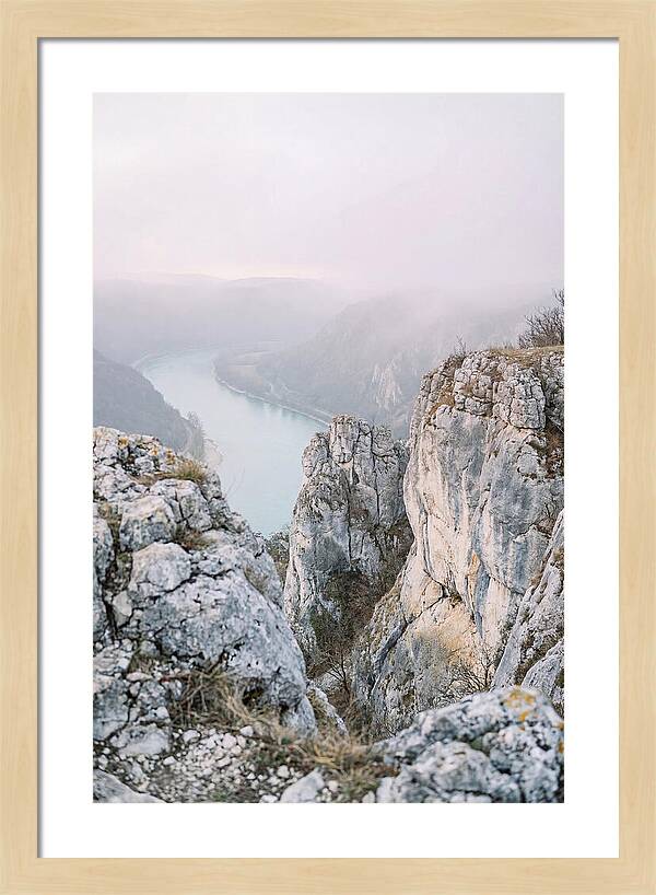 Lush Viewpoint Above The Rhine