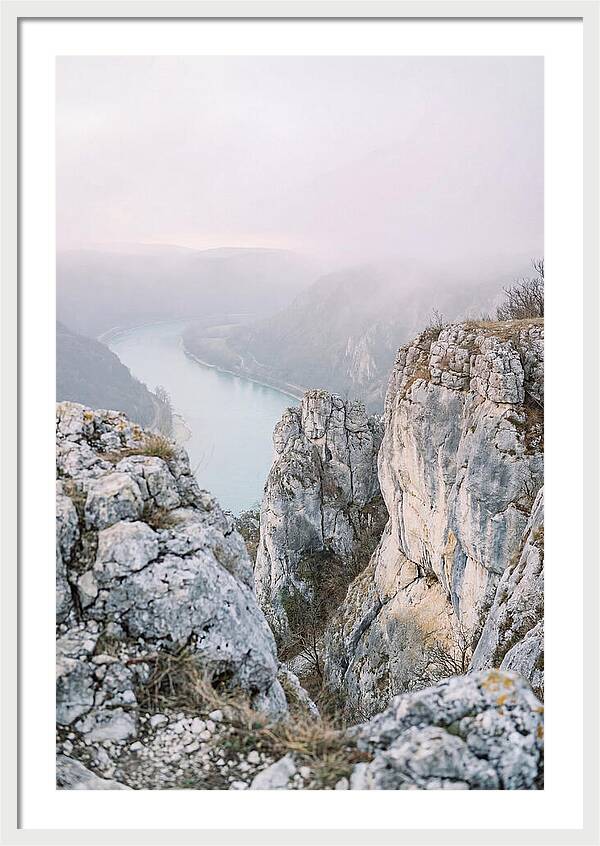 Lush Viewpoint Above The Rhine