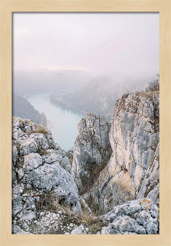 Lush Viewpoint Above The Rhine