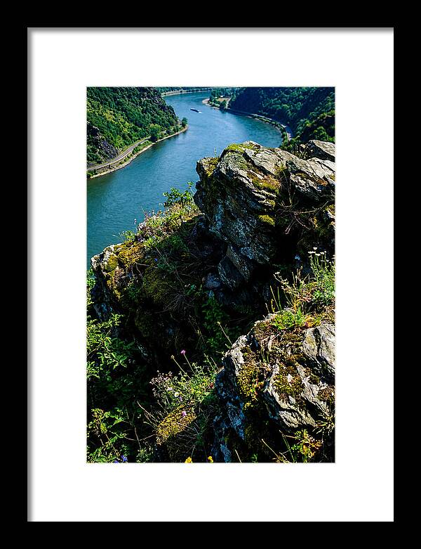 Lush Viewpoint Over The Rhine