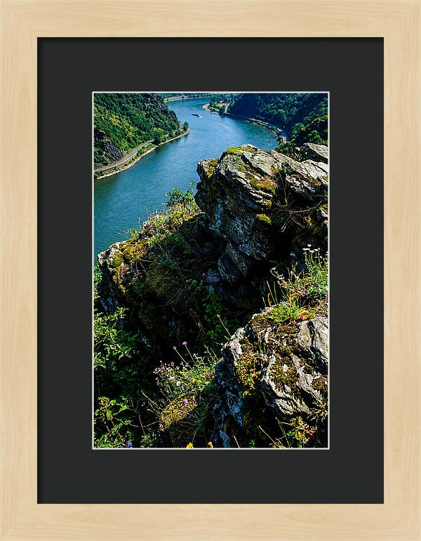 Lush Viewpoint Over The Rhine