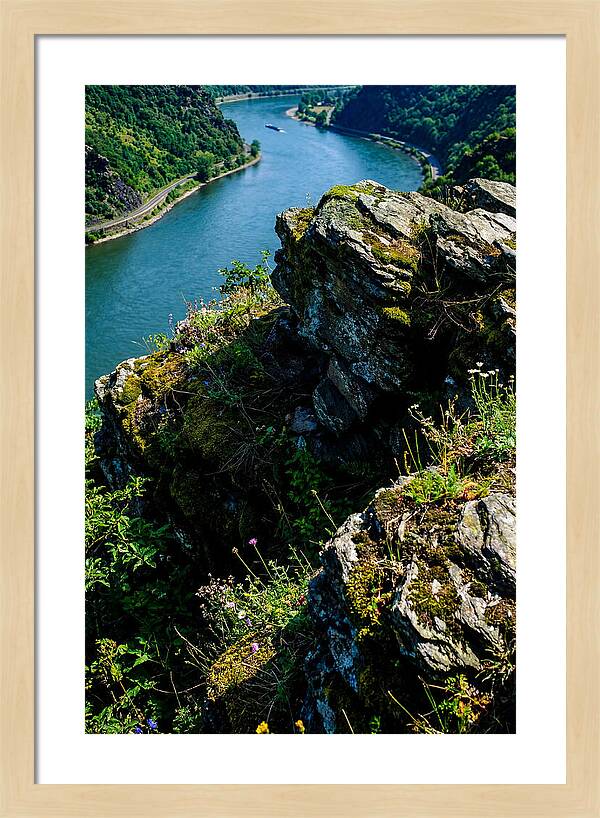 Lush Viewpoint Over The Rhine