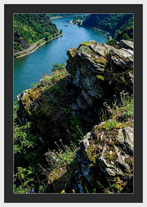 Lush Viewpoint Over The Rhine