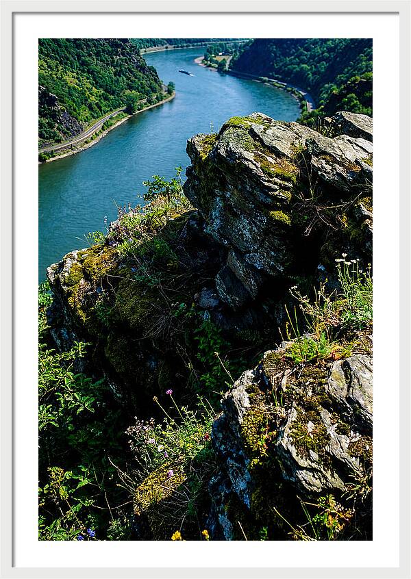 Lush Viewpoint Over The Rhine