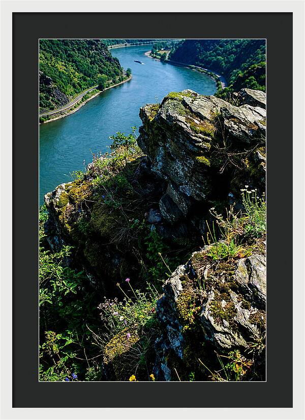 Lush Viewpoint Over The Rhine