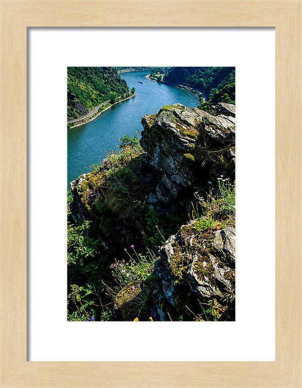 Lush Viewpoint Over The Rhine