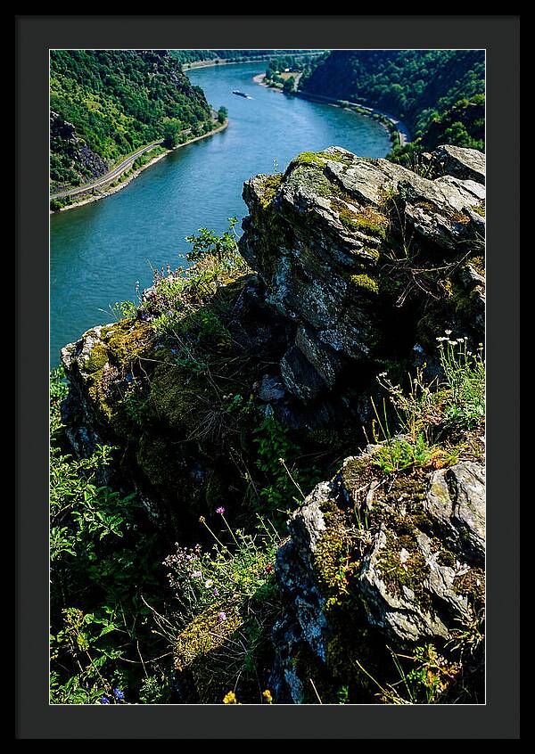 Lush Viewpoint Over The Rhine