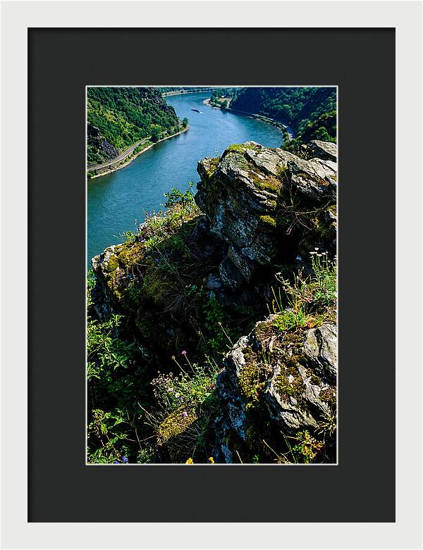 Lush Viewpoint Over The Rhine