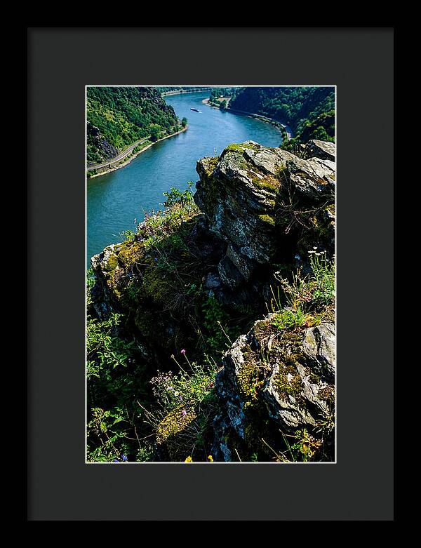 Lush Viewpoint Over The Rhine