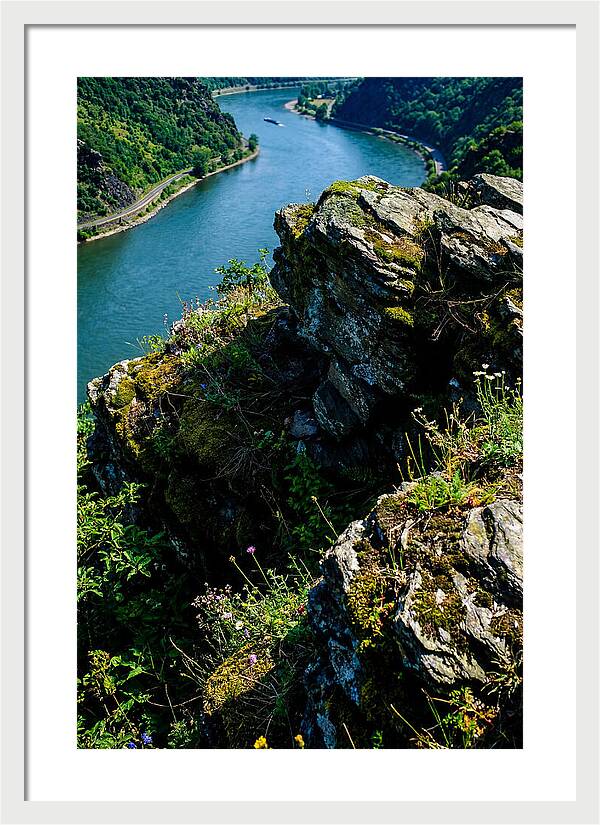 Lush Viewpoint Over The Rhine