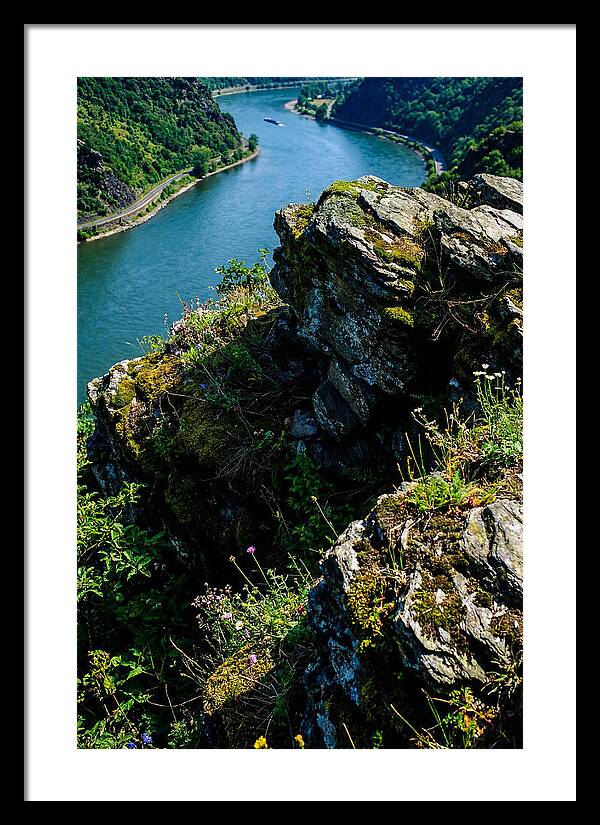 Lush Viewpoint Over The Rhine